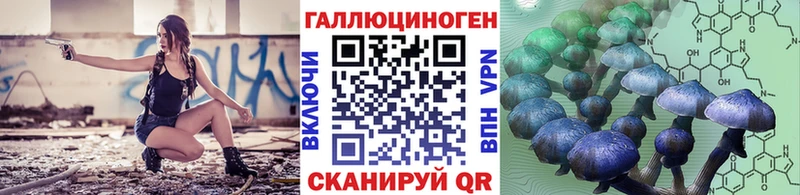 Псилоцибиновые грибы мицелий Хвалынск