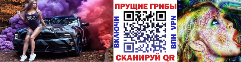 даркнет клад Хвалынск Галлюциногенные грибы Magic Shrooms kraken ССЫЛКА
